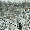 Кимпель Федор Андреевич