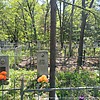 Павлов Вениамин Иванович