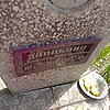 Шпакова Татьяна Винидиктовна