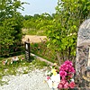 Чередниченко Юлия Николаевна