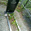 Багель Елена Викторовна