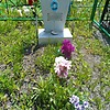 Банков Сергей Григорьевич