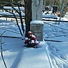 Сигайлюк Александр Иванович