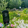 Мазанка Владимир Васильевич