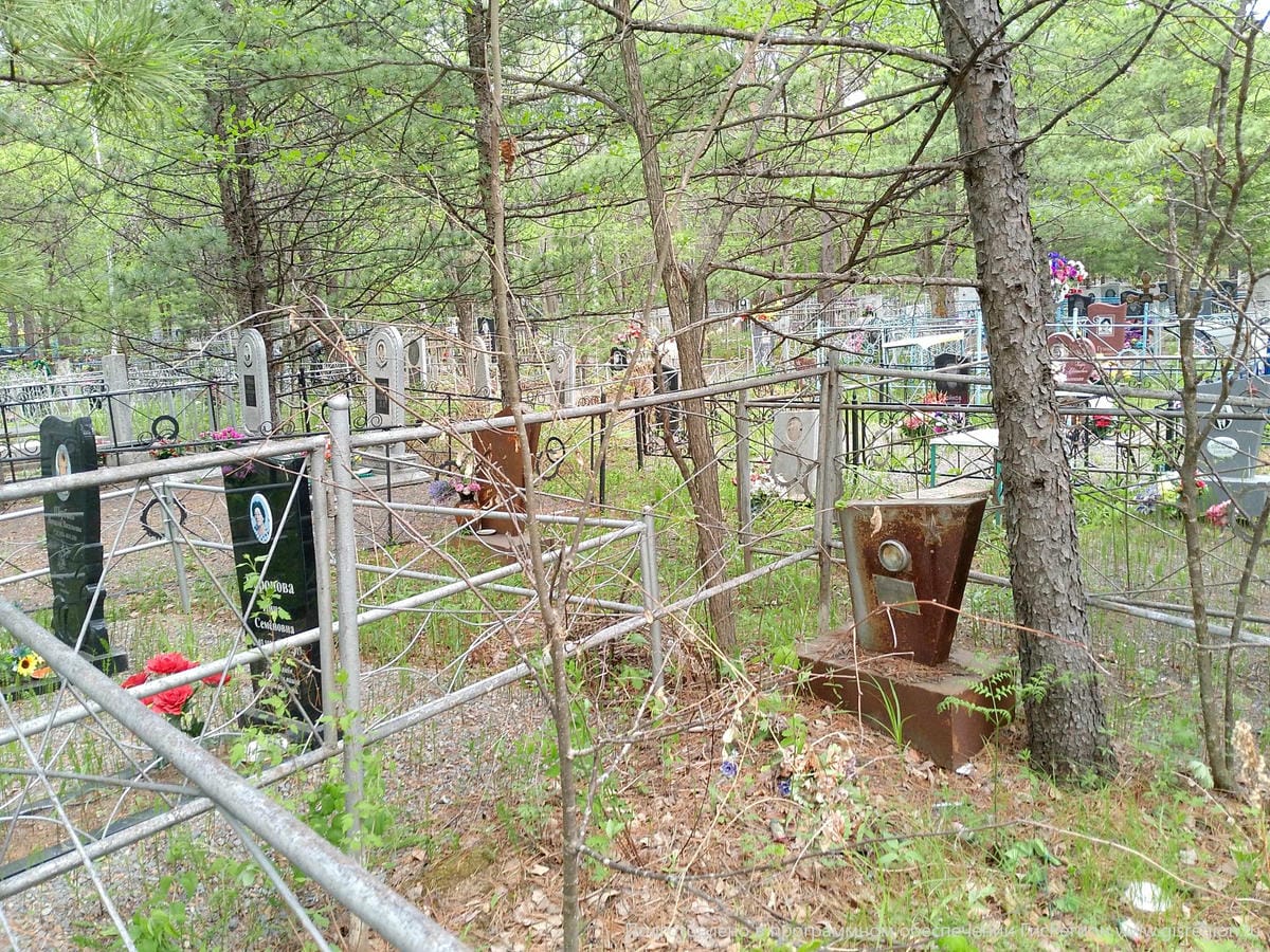 Долгая Анастасия Алексеевна