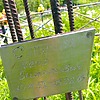 Смирнов Петр Витальевич