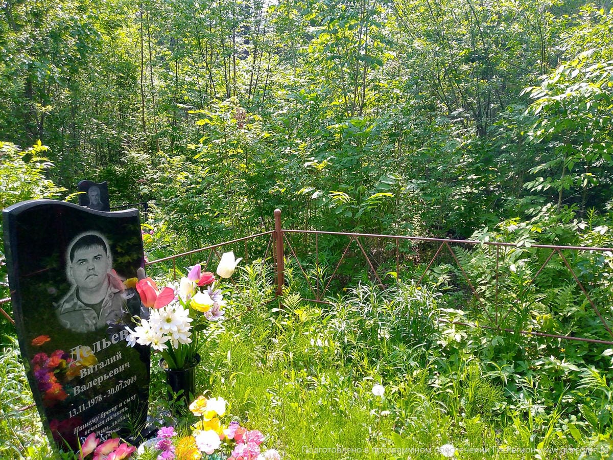 789f6938-cd6f-4479-9c39-a4578afaf2bf Дельев Виталий Валерьевич
