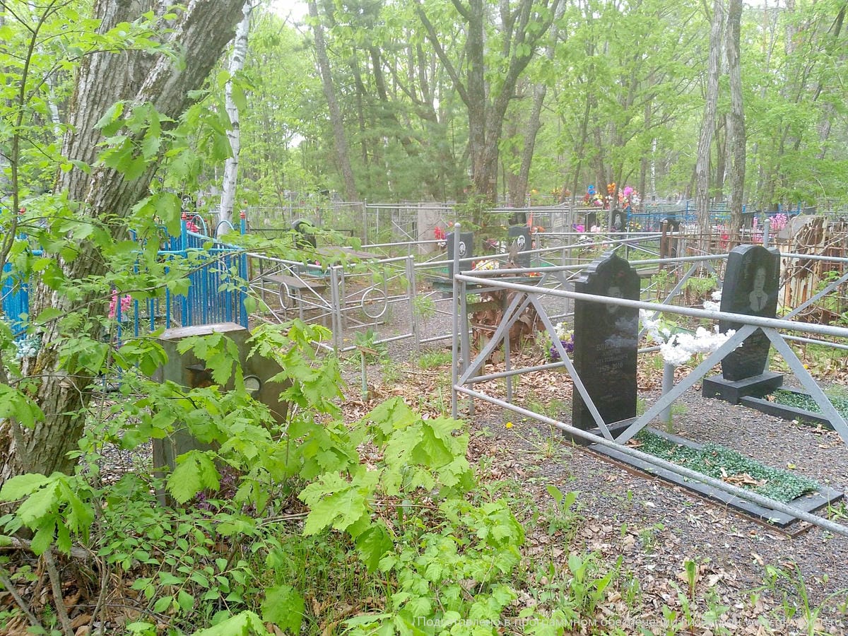 79215129-bd98-48e0-b692-636dfd6cbb4a Касперович Викентий Сафронович