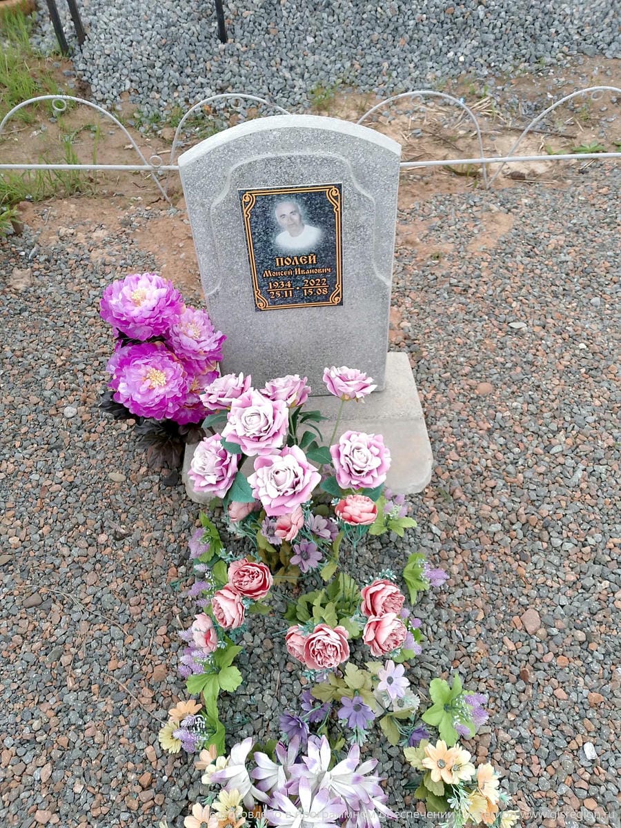 Полей Моисей Иванович