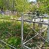 Муштаева Неля Владимировна