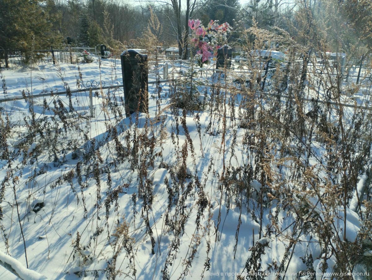 Булгаков Максим Сергеевич