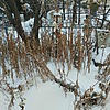 Неизвестно Неизвестно Неизвестно