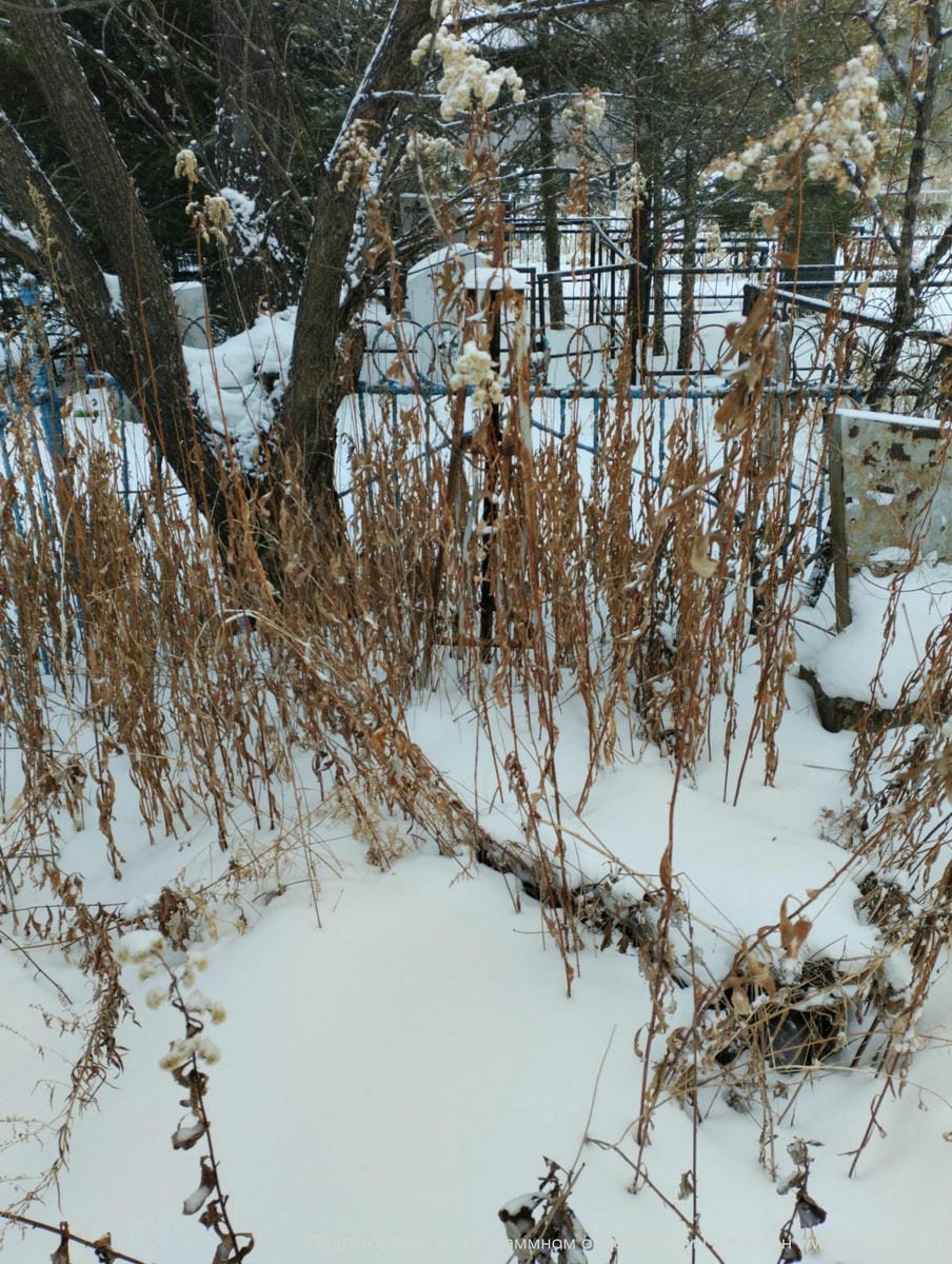 Неизвестно Неизвестно Неизвестно