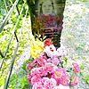 Михайлова Анна Константиновна