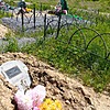 Корович Борис Романович