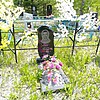 Чех Александр Александрович