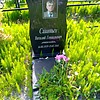 Савиных Виталий Геннадьевич