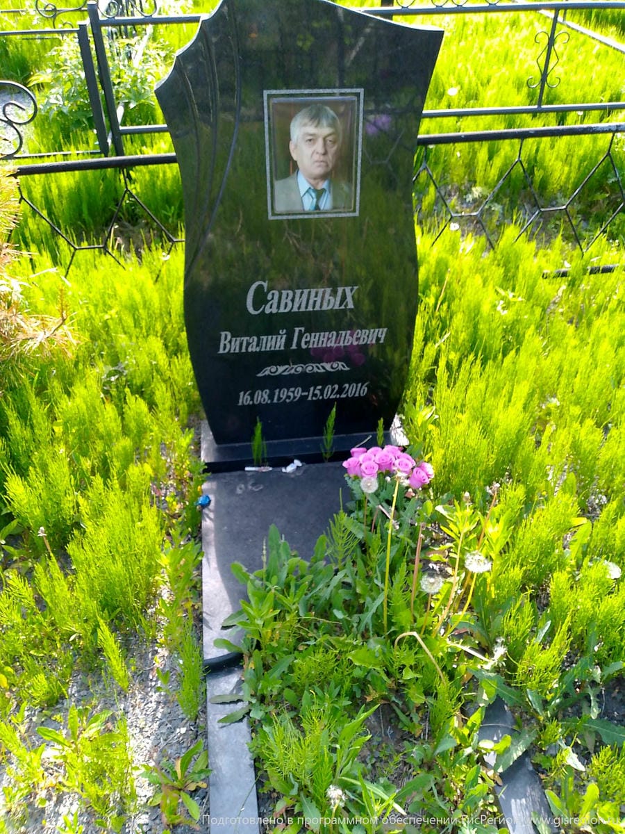81a9bd92-0492-42ff-84bd-8e9c2cc2440c Савиных Виталий Геннадьевич