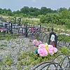 Лобова Светлана Михайловна