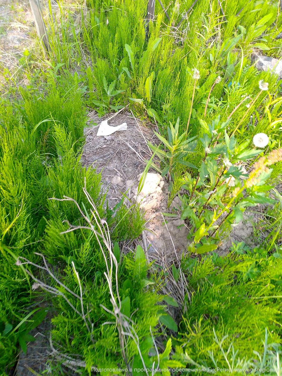 Неизвестно Неизвестно Неизвестно