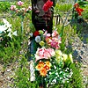 Сеничкина Ксения Кирилловна