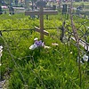 Кузнецова Нина Сергеевна