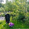 Лазарев Николай Никитич