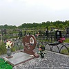 Поздеева Яна Петровна