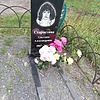 Старостина Светлана Александровна