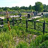 Лихоронина Юлия Константиновна