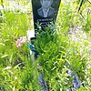 Семиков Виктор Серафимович