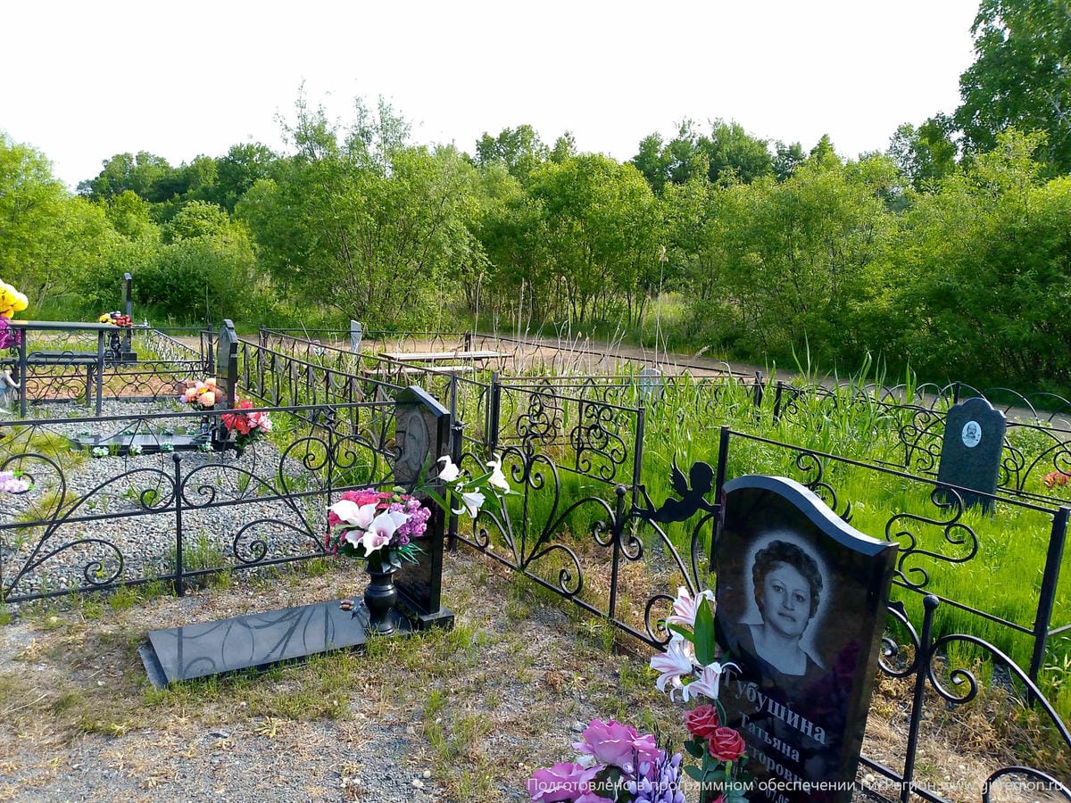 8df6dadf-06b7-47aa-86e8-772eed6cef4a Губушин Валентин Александрович