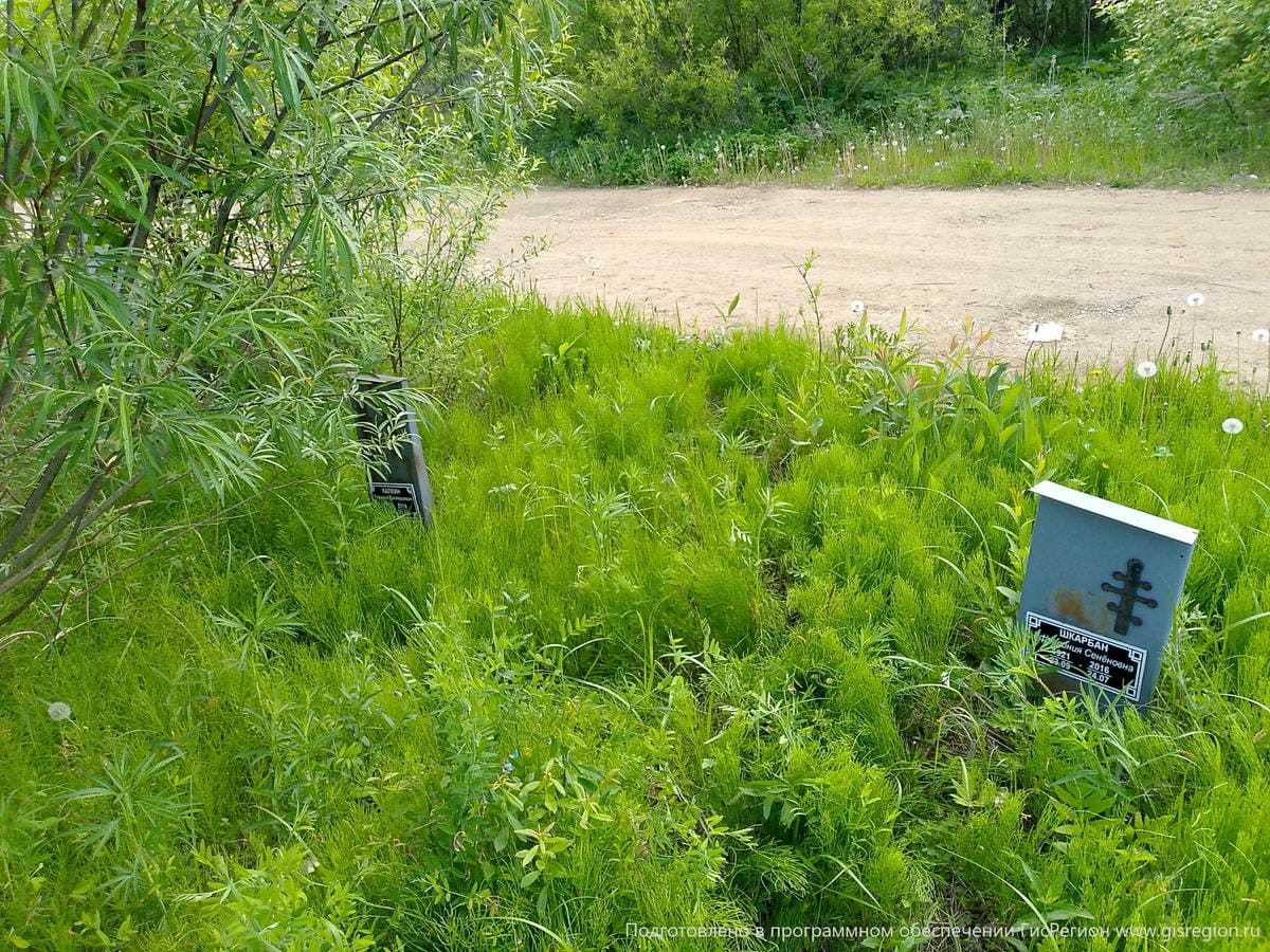 8ee49990-7312-4061-8847-88a32c27aecf Шкарбан Ефросиния Сененовна