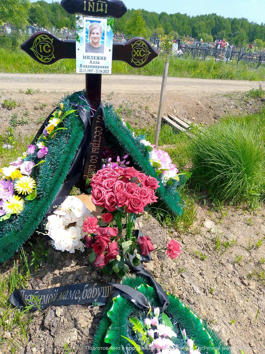 8f02a679-b369-4f0c-900d-0c92b58f1681 Милежик Алла Владимировна