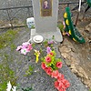 Рассадин Виталий Александрович