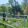 Арапко София Моисеевна