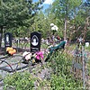Михалёв Александр Нестерович