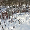 Гончарук Прасковья Николаевна