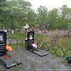 Старостина Светлана Александровна