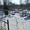 Новикович Анатолий Владимирович
