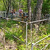 Краснянская Прасковья Сафоновна