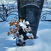 Харлова Александра Ивановна