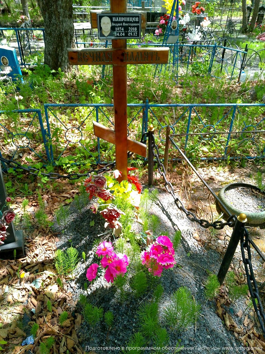 9ea0ec29-867e-4263-a777-c3eff5616718 Пашенцев Андрей Викторович