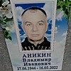 Аникин Владимир Иванович