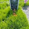 Логинов Сергей Гаврилович