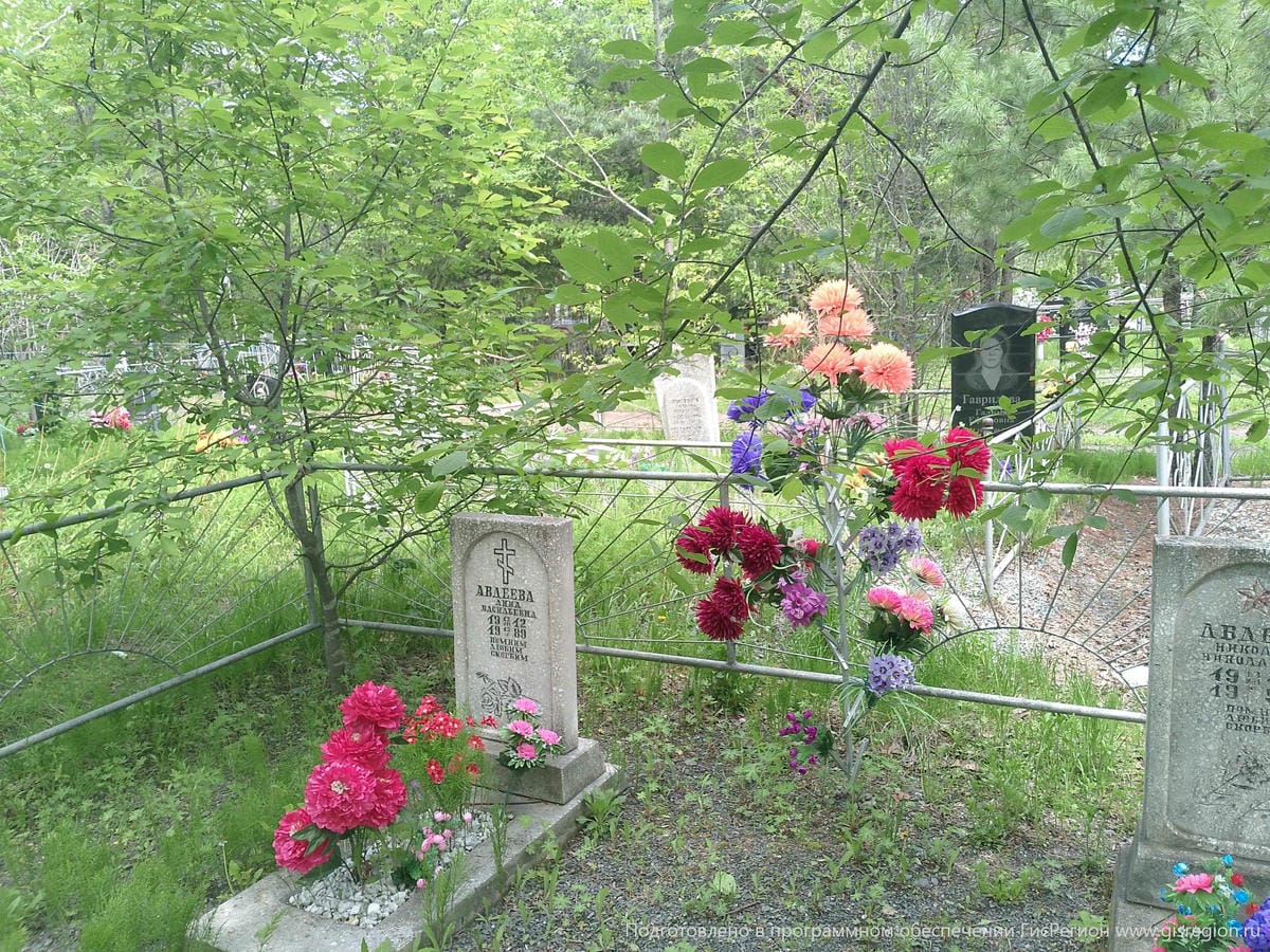 Авдеев Николай Николаевич