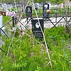 Горбунова Клавдия Борисовна