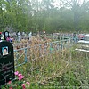 Хвостова Велейда Васильевна