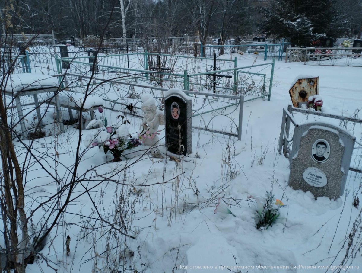 Днепровская Анна Владимировна