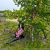 Кузнецова Нина Васильевна